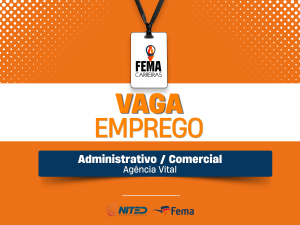 Administrativo / Comercial